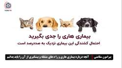 هاری یکی از بیماری‌های کشنده و قابل انتقال بین حیوان و انسان است